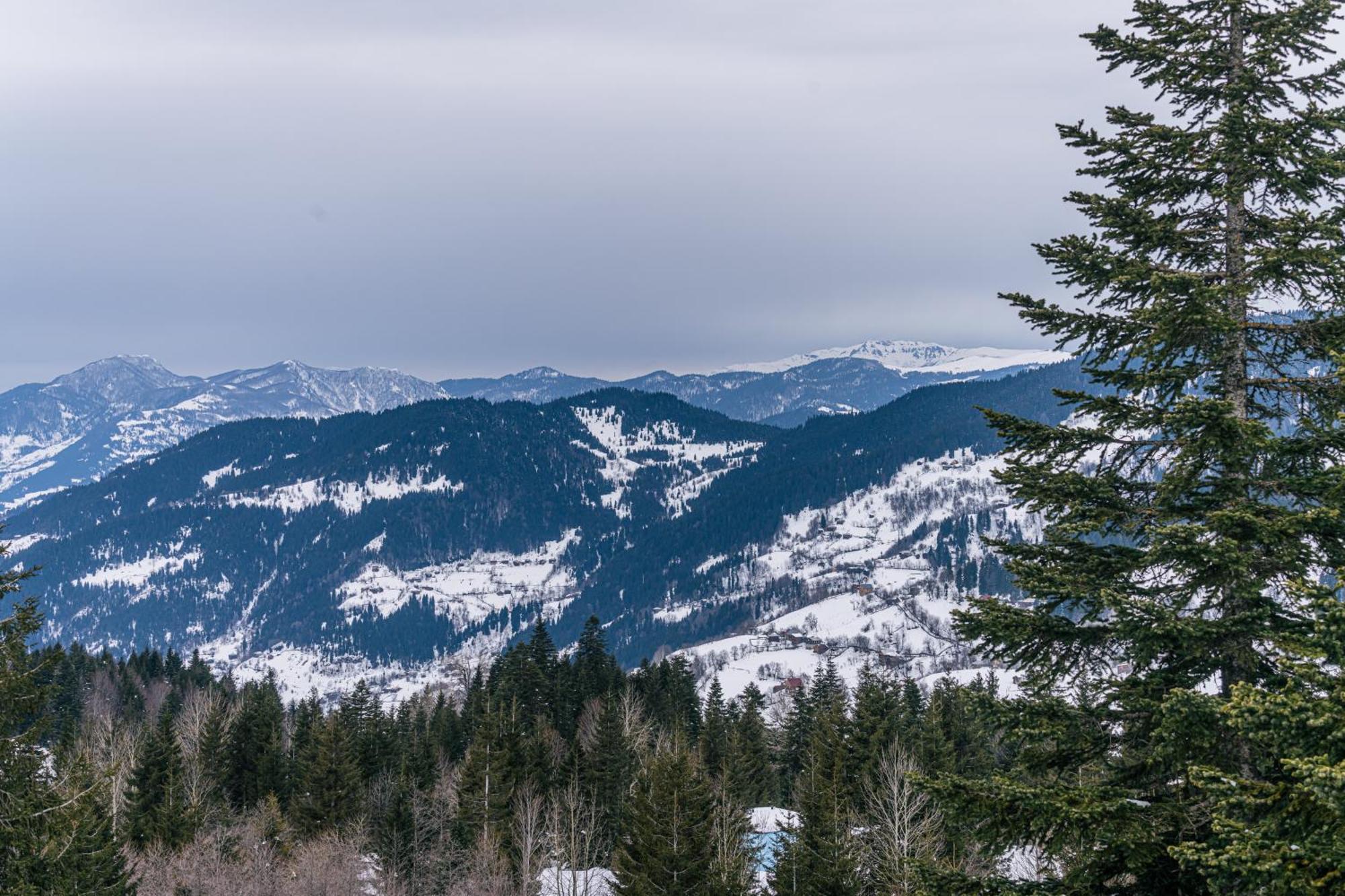 Forest Villa Goderdzi Zewnętrze zdjęcie
