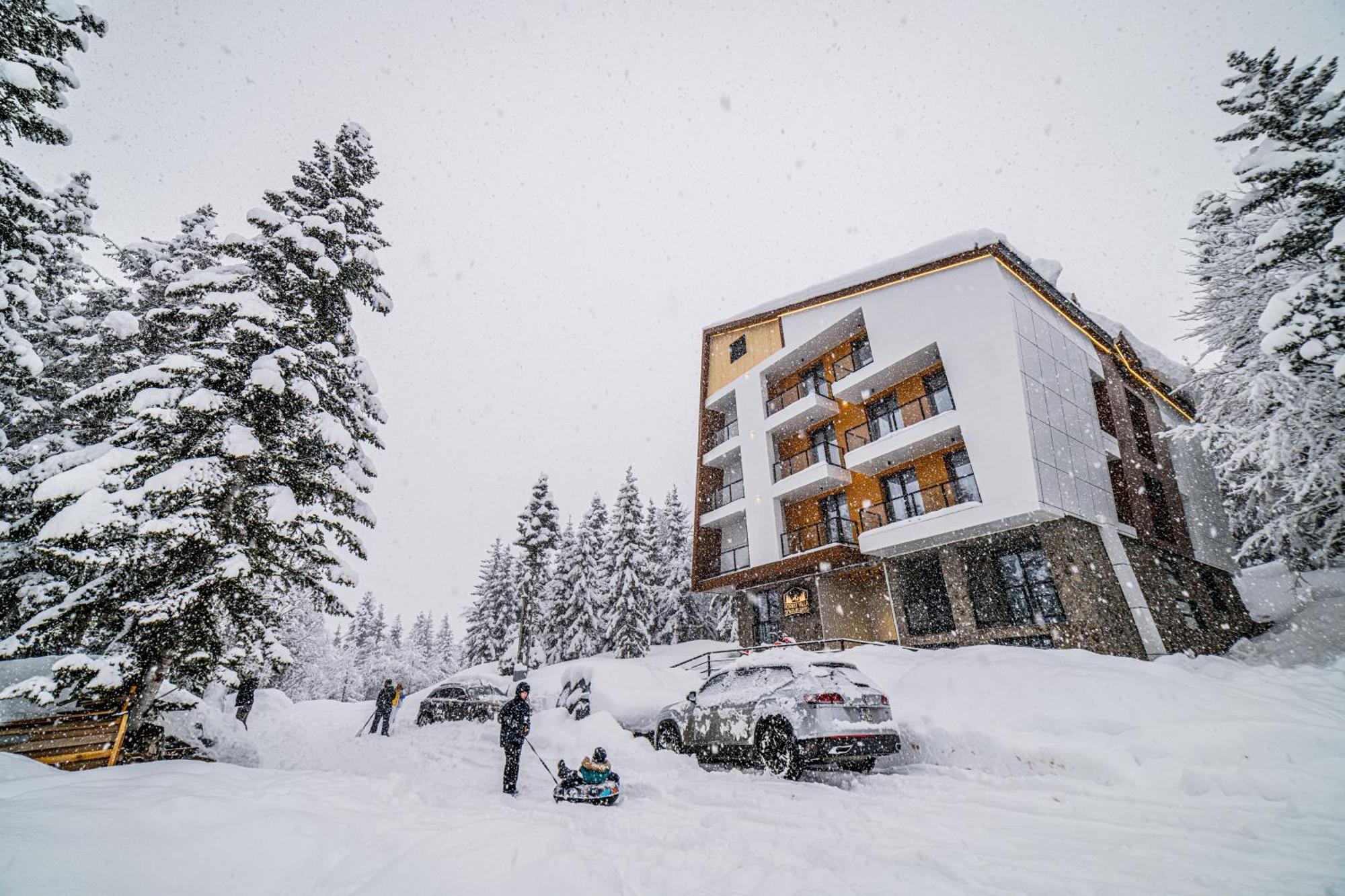 Forest Villa Goderdzi Zewnętrze zdjęcie