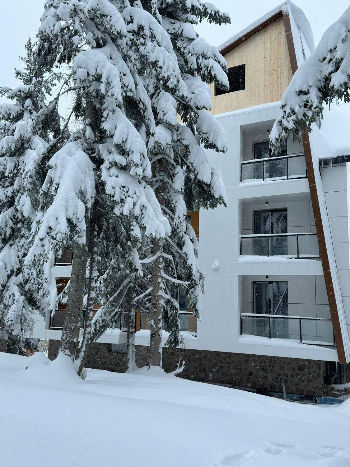 Forest Villa Goderdzi Zewnętrze zdjęcie