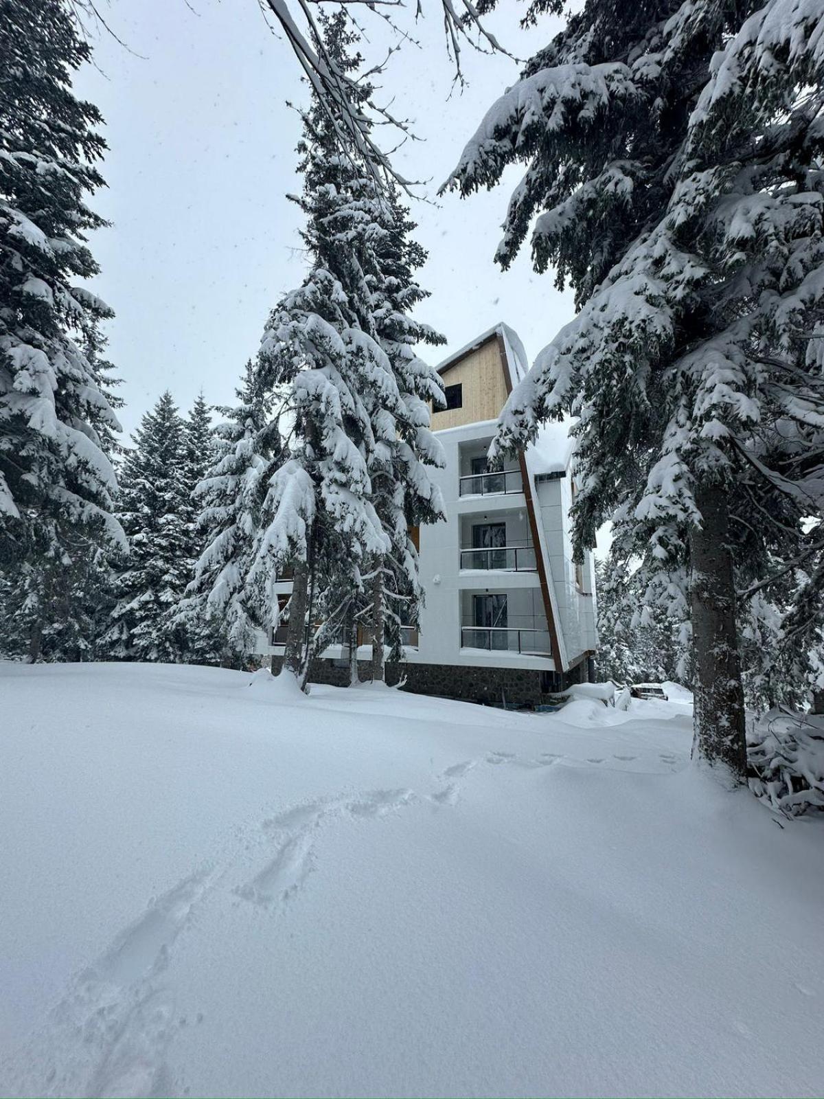 Forest Villa Goderdzi Zewnętrze zdjęcie